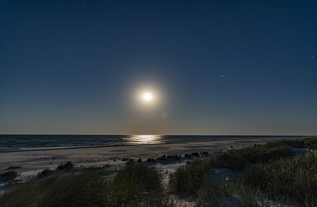 Khám phá Thế Giới Cá Cược Trực Tuyến tại https//bet88.spot/ - Cơ Hội & Thách Thức