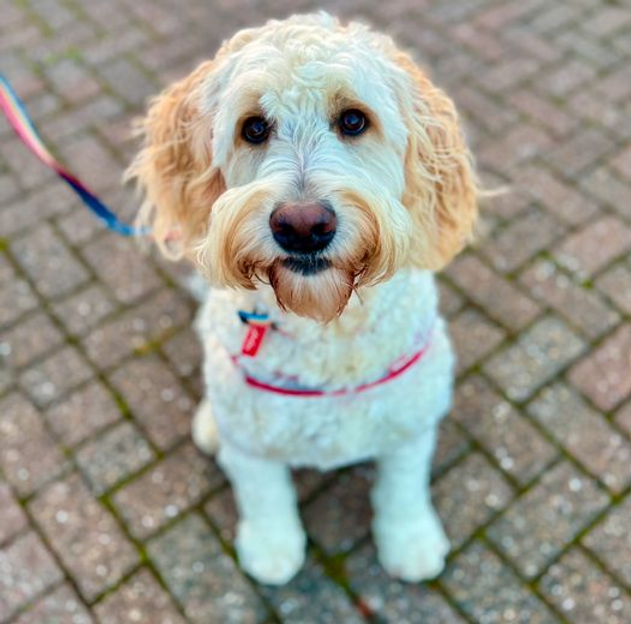 Hướng Dẫn Tham Gia 8KBetXN.com – Trải Nghiệm Đỉnh Cao