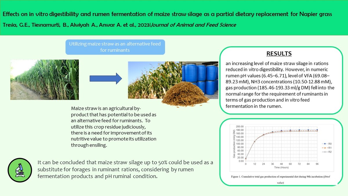 Hướng Dẫn Toàn Diện Về hi88g com - Nền Tảng Đẳng Cấp