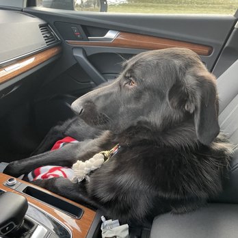 go88 còn đổi thưởng được không mẹo chơi game tài xỉu go88 luôn thắng cho người mới - Bí Mật Thành Công Phân Tích Toàn Diện