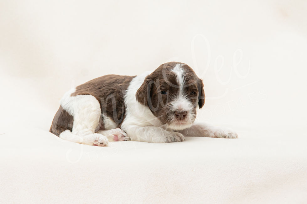 Giải Thích Vì Sao thống kê lô gan Là Lựa Chọn Hoàn Hảo Cho Người Chơi Cá Cược