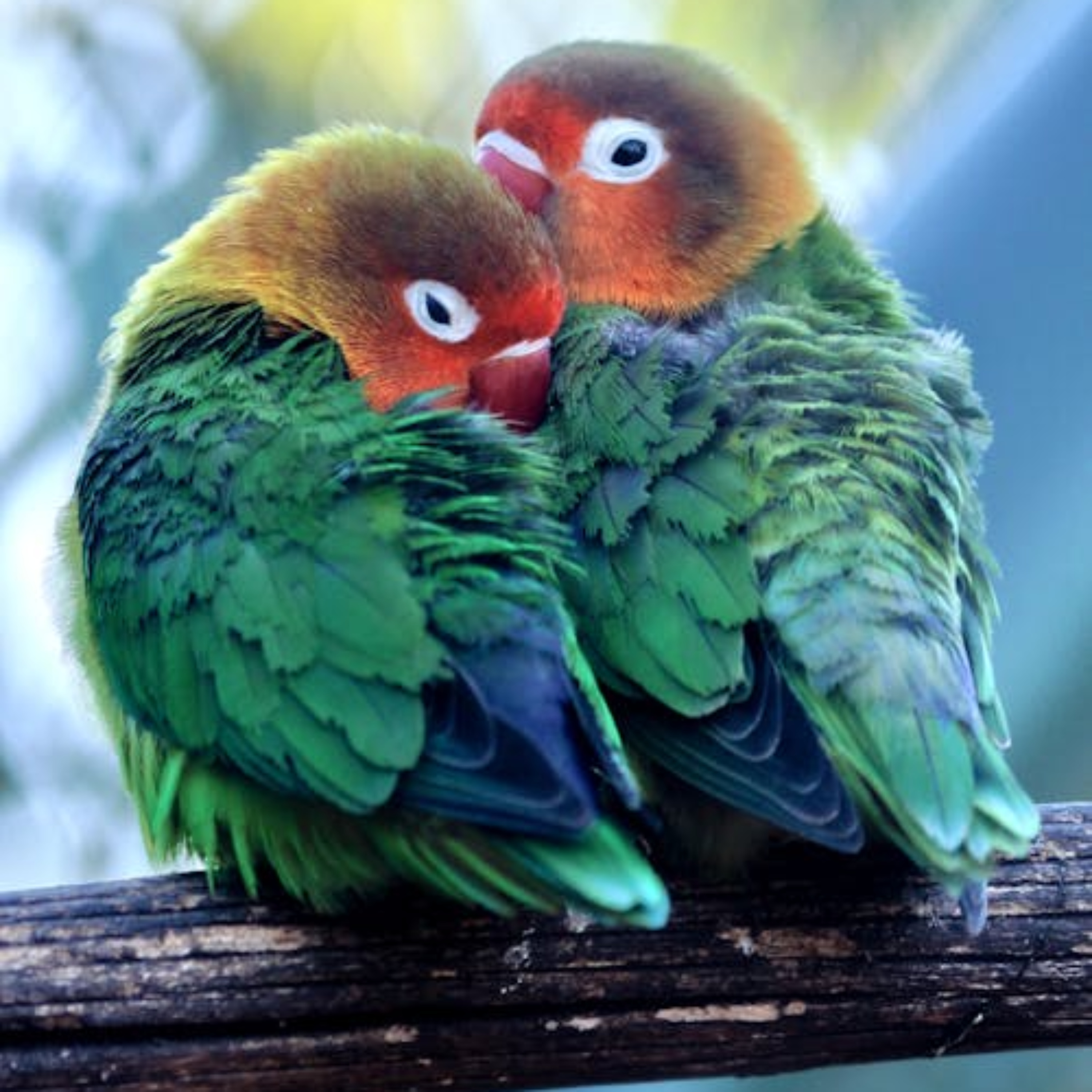 Khám Phá the phi vật lý vpbank có rút được tiền không - Bí Quyết Thành Công Trực Tuyến