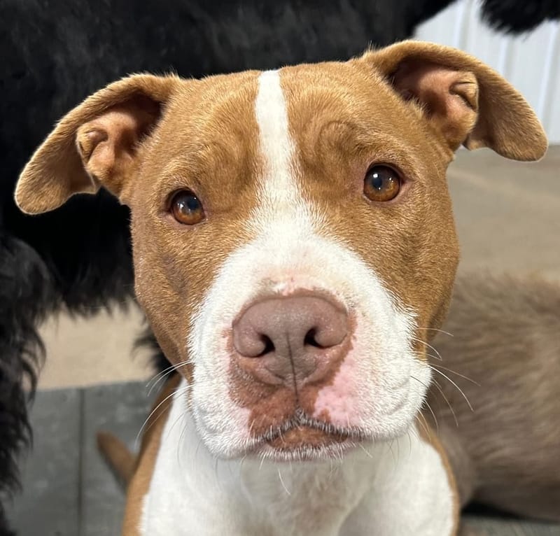 Khám Phá kubet freebet – Hành Trình Công Nghệ Mới