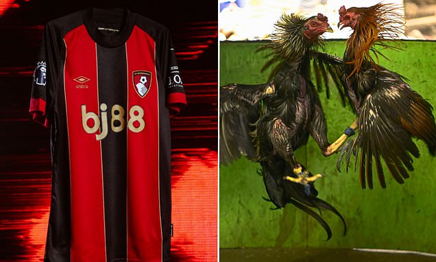 go88d con - Khám phá nắm giới cá cược cao nhất & cơ hội khiến giàu