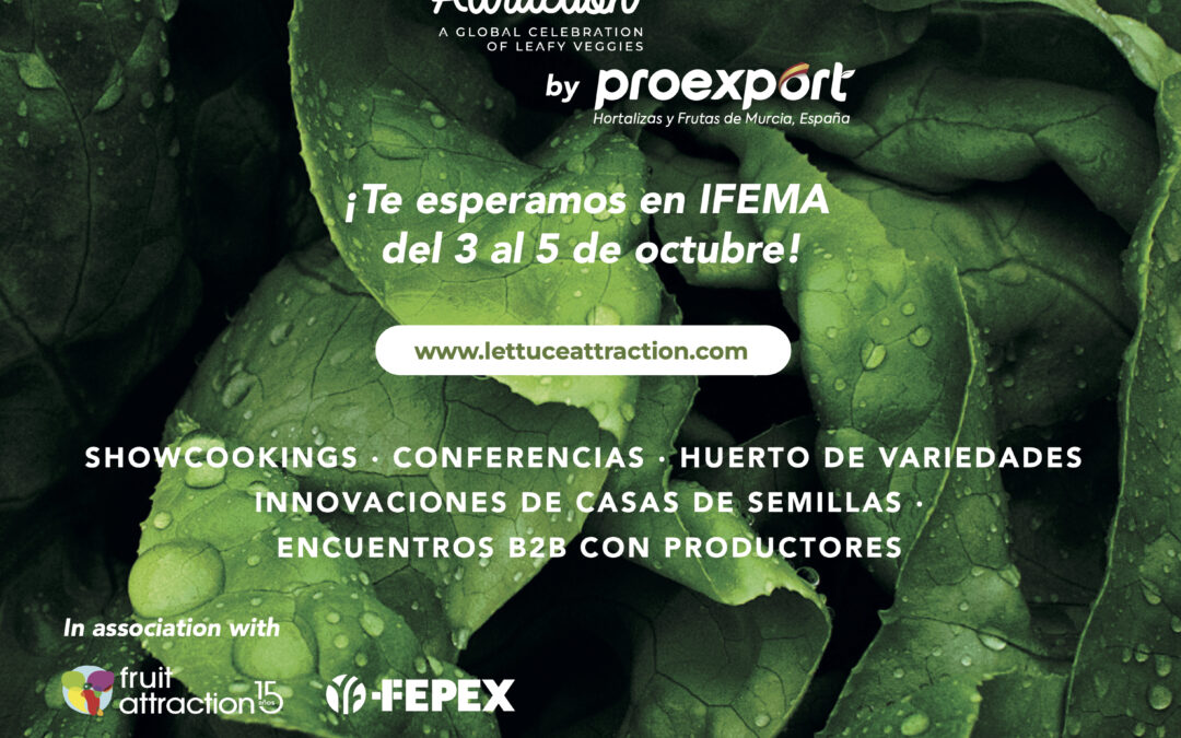 cầu xổ số miền bắc ngày hôm nay - Nền Tảng Giải Trí Đỉnh Cao Cho Mọi Người