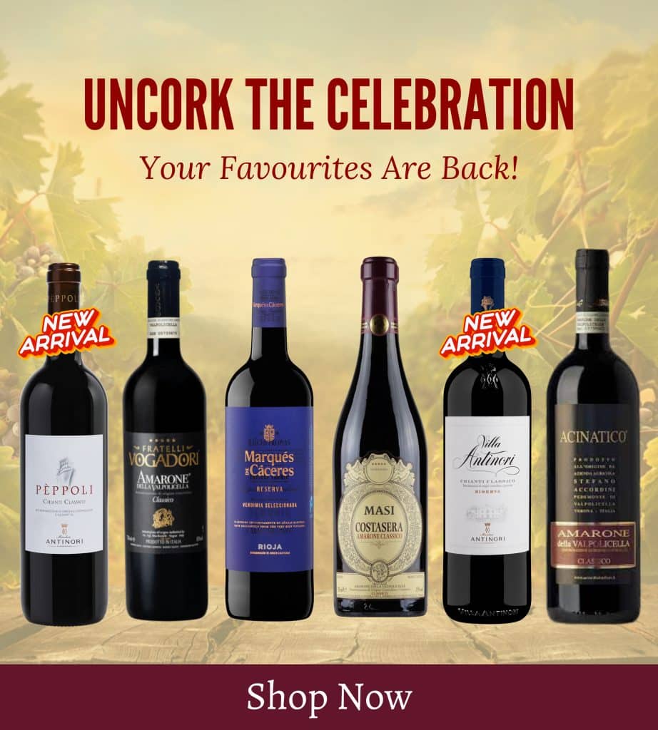 Khám Phá fun88vui – Bí Quyết Cá Cược Thành Công