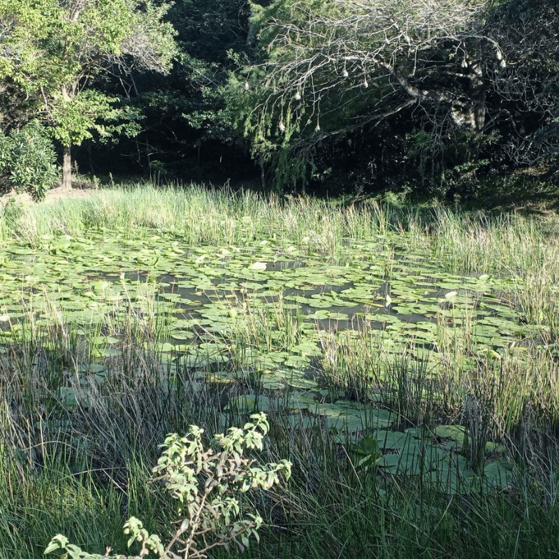 Khám Phá xổ số miền bắc hôm nay miền bắc hôm nay – Nền Tảng Cá Cược Đỉnh Cao