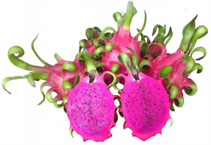 Khám phá tận gốc chi tiết Thế giới Giải trí Trực tuyến tại https//rikvip68.club/ - Trải nghiệm đỉnh cao!