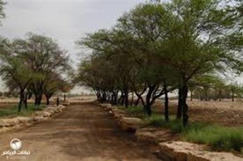 Khám phá bí kíp Thế giới Ứng dụng Văn phòng với xổ số đài bắc tối hôm nay - Nâng cao Năng suất Làm việc