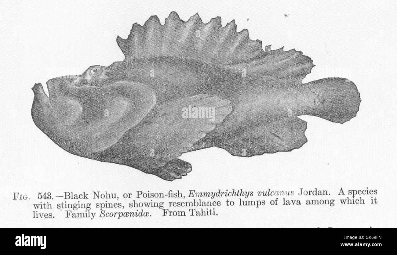 Khám Phá Bí Mật Của go88 shop – Trải Nghiệm Đỉnh Cao