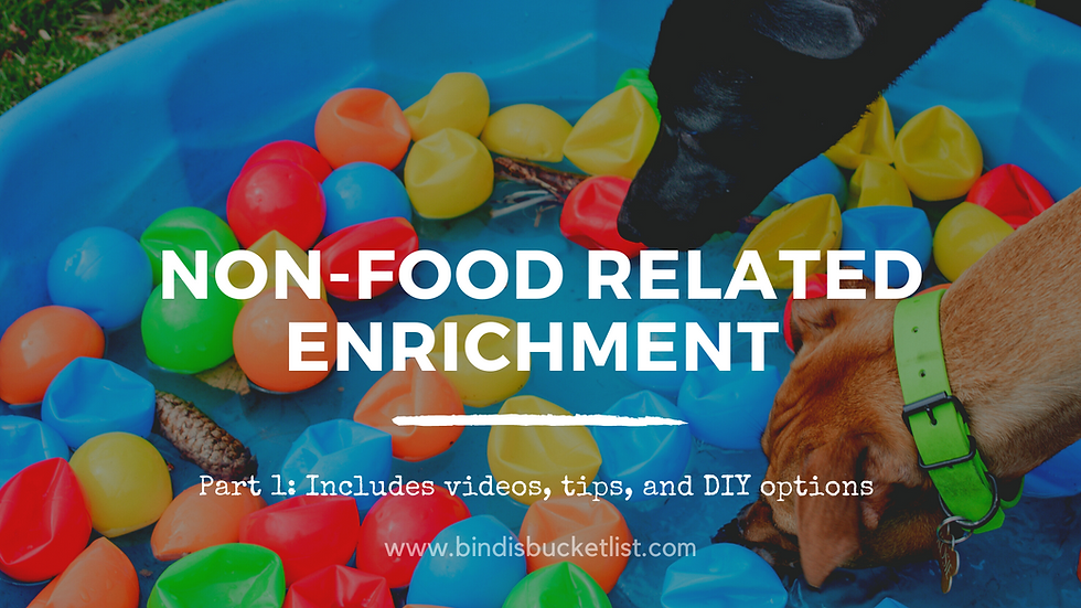 Khám Phá https//69vnxn.com/ – Nền Tảng Giải Trí Đỉnh Cao