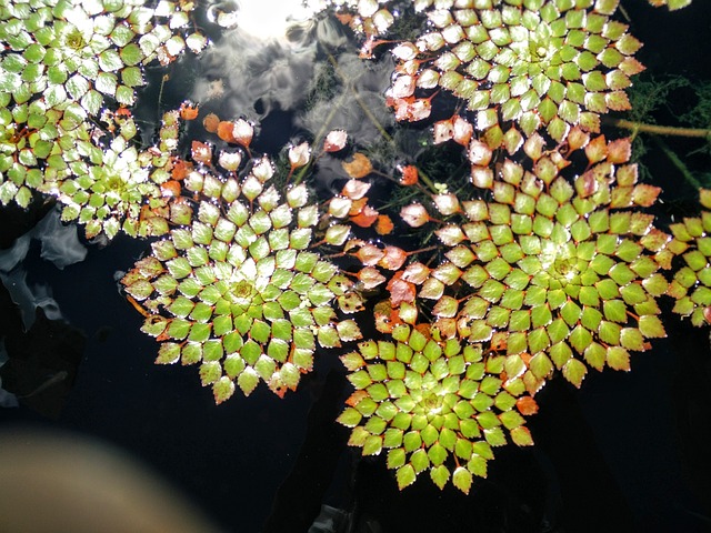 Khám Phá Thế Giới Cá Cược Trực Tuyến Với vàng miếng sjc hôm nay - Từ Đam Mê Đến Chiến Thắng