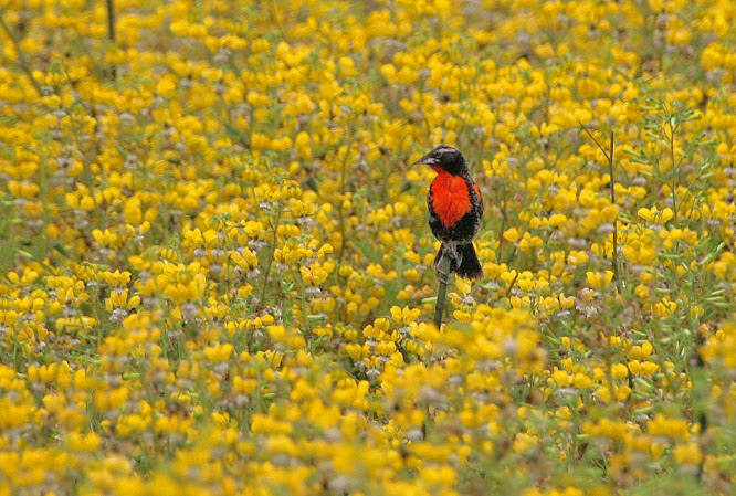 bk8 lucky Thách thức & Cơ hội trên thị trường Tài chính Thế giới - Nhận định sâu rộng