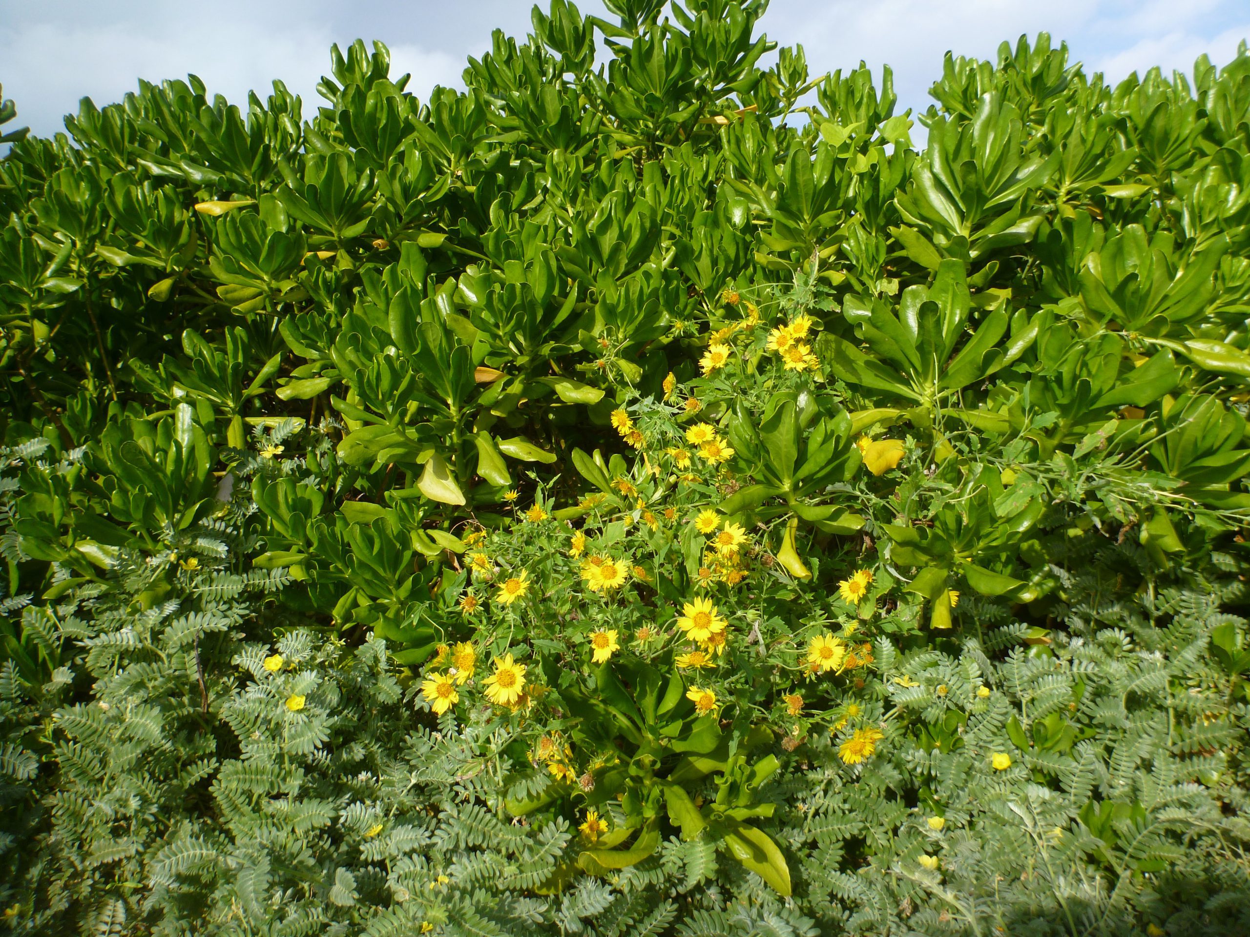 Hướng Dẫn Chơi go88 nét Thành Công - Từ Cơ Bản Đến Chuyên Gia