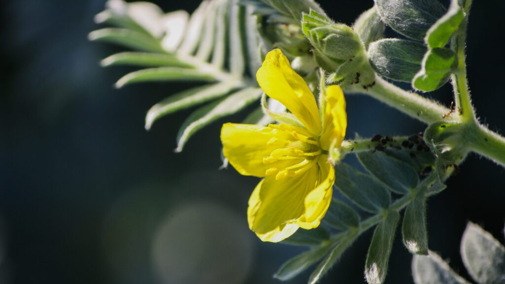 Khám Phá Nền Tảng Nổ Hũ Hàng Đầu nohu.host – Kinh Nghiệm Tuyệt Vời