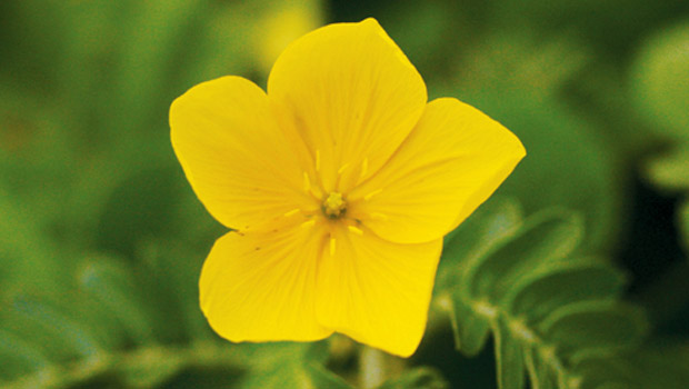 Khám Phá Nền Tảng Nổ Hũ Hàng Đầu nohu.host – Kinh Nghiệm Tuyệt Vời