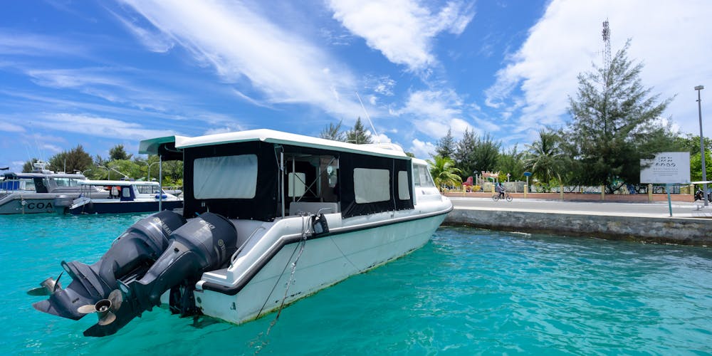 Khám Phá Thế Giới Cá Cược Trực Tuyến Tại https//vn88ac.net/ - Từ Cơ Hội Đến Thách Thức