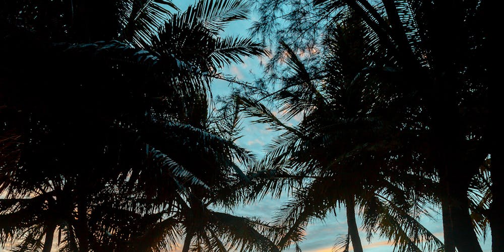 Tìm hiểu Thế Giới Giải Trí Trực Tuyến tại https//88clbs1.cam/ - Cơ Hội và Thách Thức