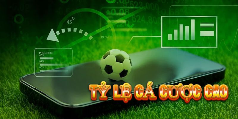 Khám Phá Thế Giới kingfun88 - Nơi Đam Mê Chạm Tới Đỉnh Cao