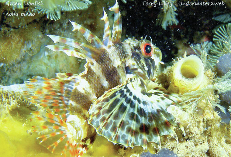 Khám Phá Thế Giới taixiugo88 - Hành Trình Kích Thích