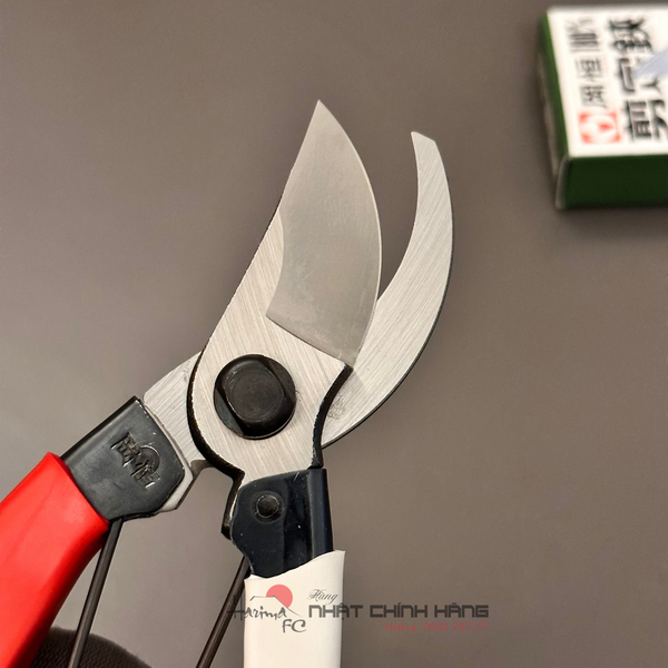 vinfast evo200 giá Bóc Tách Bí Mật Thành Công Từ Thị trường Cá Cược Nhật Bản