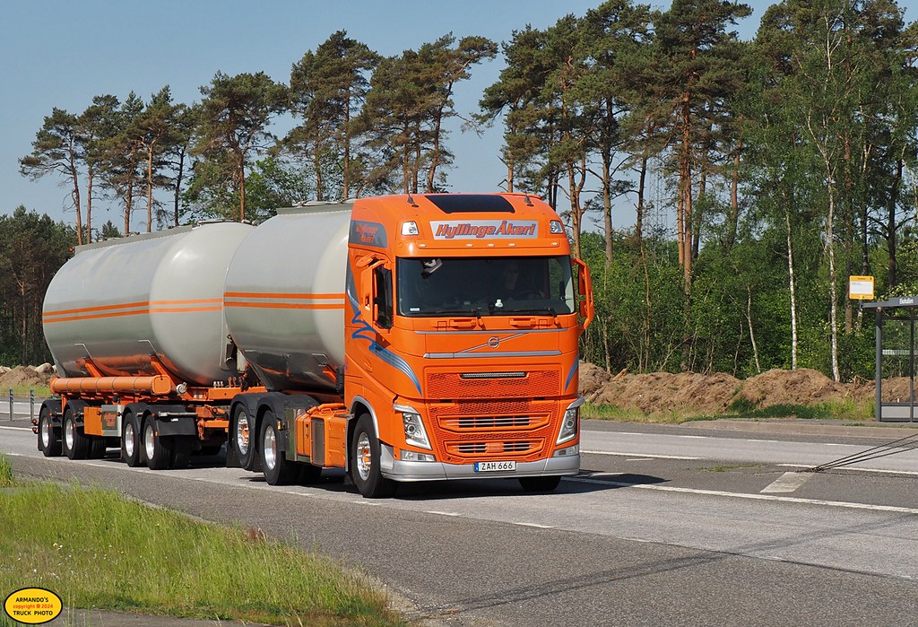 Nhà chiếc S666 Khám phá thị trường cá trực tuyến không nghỉ}{đặt trực tuyến hình trạng