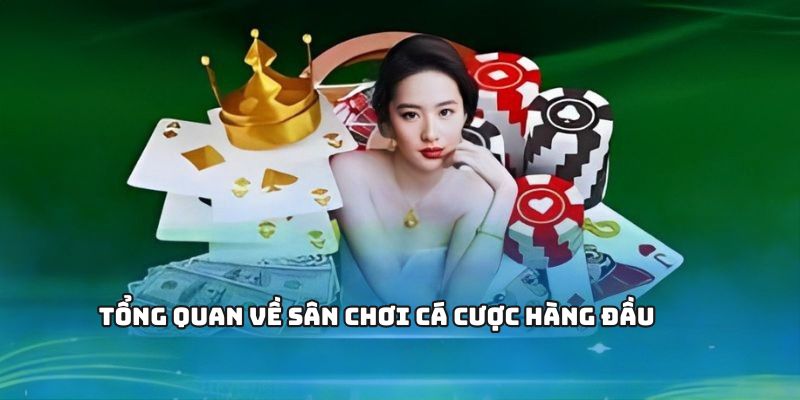 Khám Phá Thế Giới Giải Trí Với kqxs 30 ngày – Hành Trình Hấp Dẫn