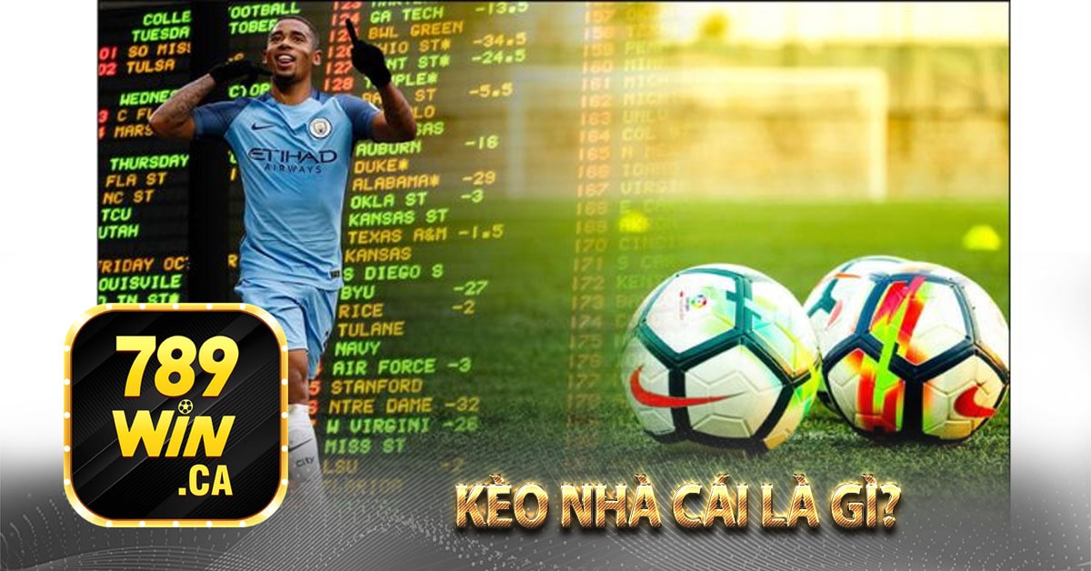 Khám Phá meey map – Thiên Đường Cá Cược An Toàn