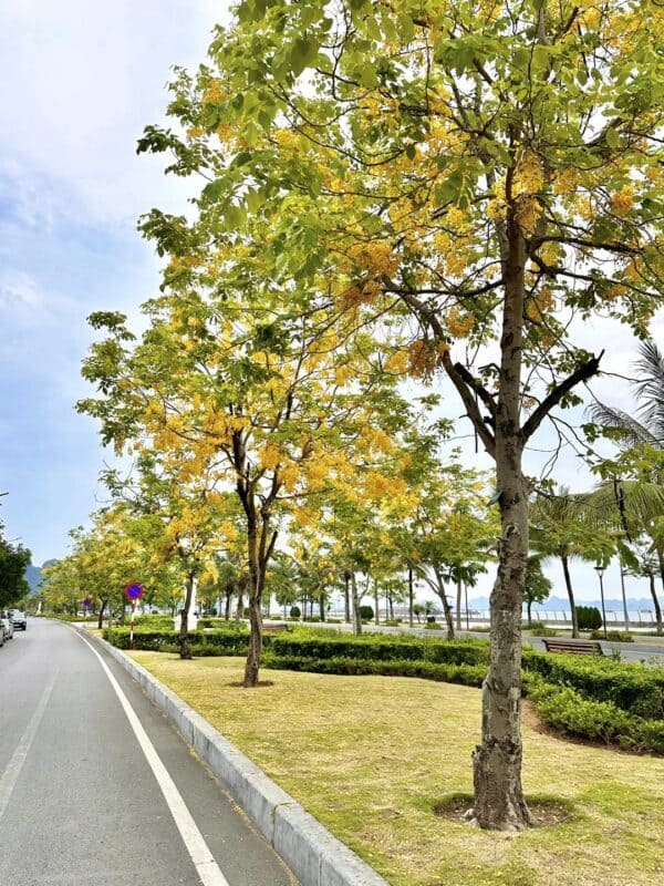 Khám Phá review thác bản giốc - Bí Quyết Chinh Phục Thị trường Cược Đẳng Cấp