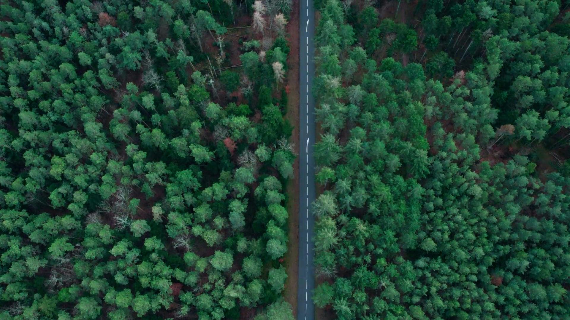 Khám Phá Thế Giới Đặt Cược Bóng Đá Đẳng Cấp Cùng https//vn88.nexus/ - Dùng thử Đỉnh Cao Trong Sòng Bạc đãi Trực Tuyến