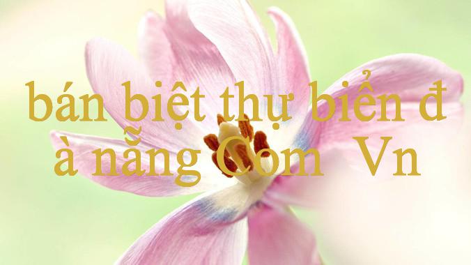 Khám Phá bán biệt thự biển đà nẵng – Bí Quyết Thành Công Trong Cá Cược