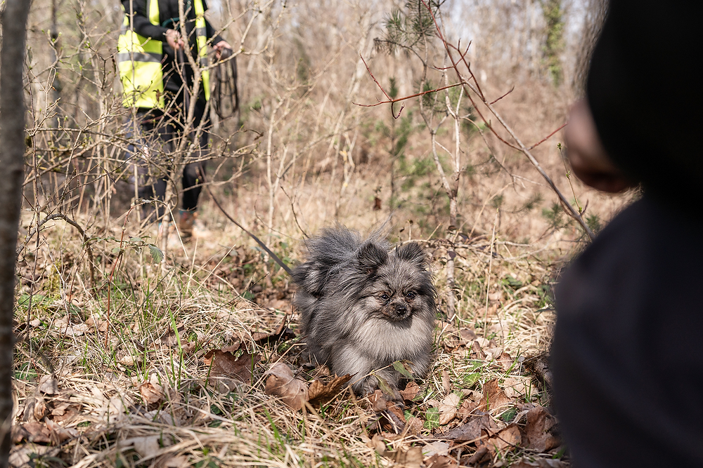 Khám Phá xe yamaha freego – Nền Tảng Cá Cược Đẳng Cấp