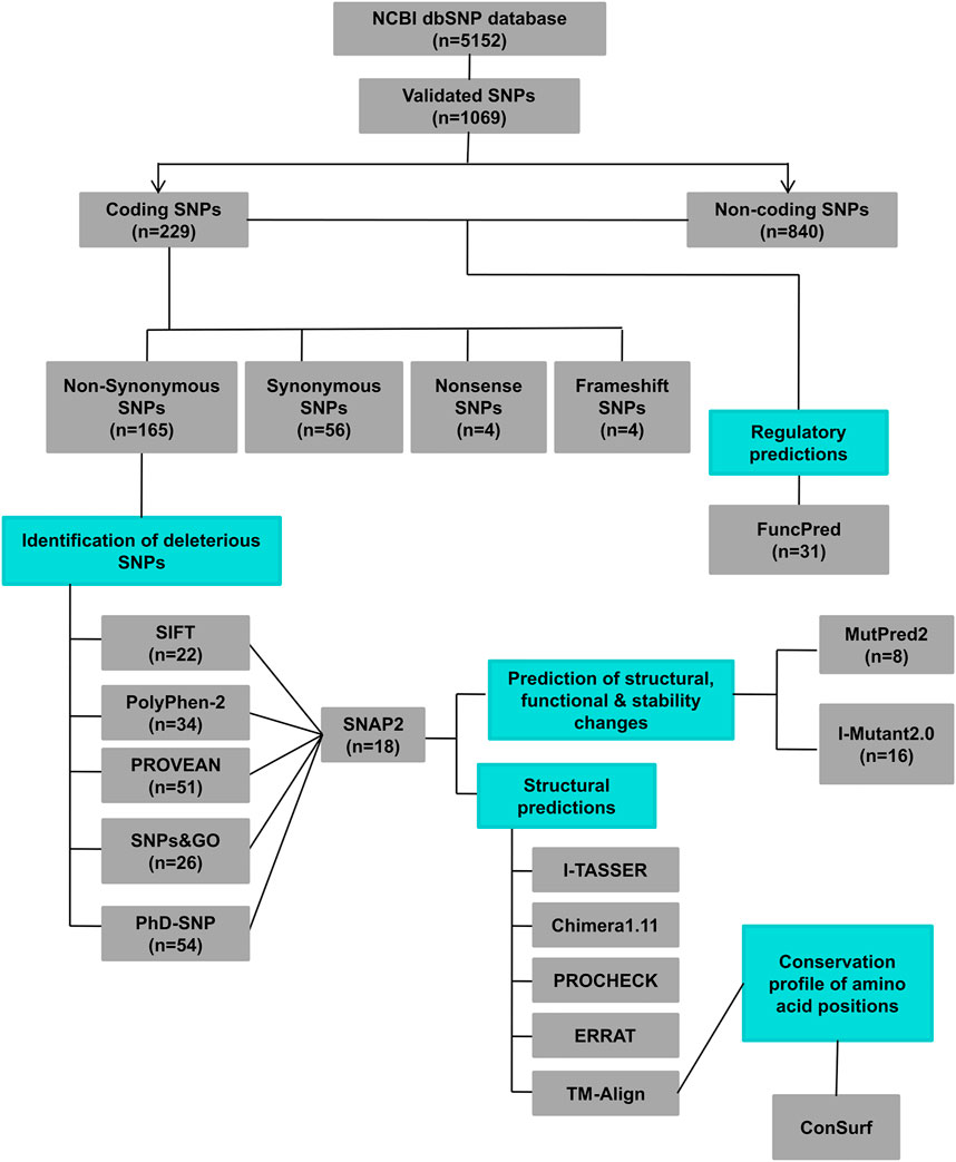bán đất lý nhật quang đà nẵng Khám Phá Thế Giới Giải Trí Trực Tuyến Đa Dạng Và Hấp Dẫn