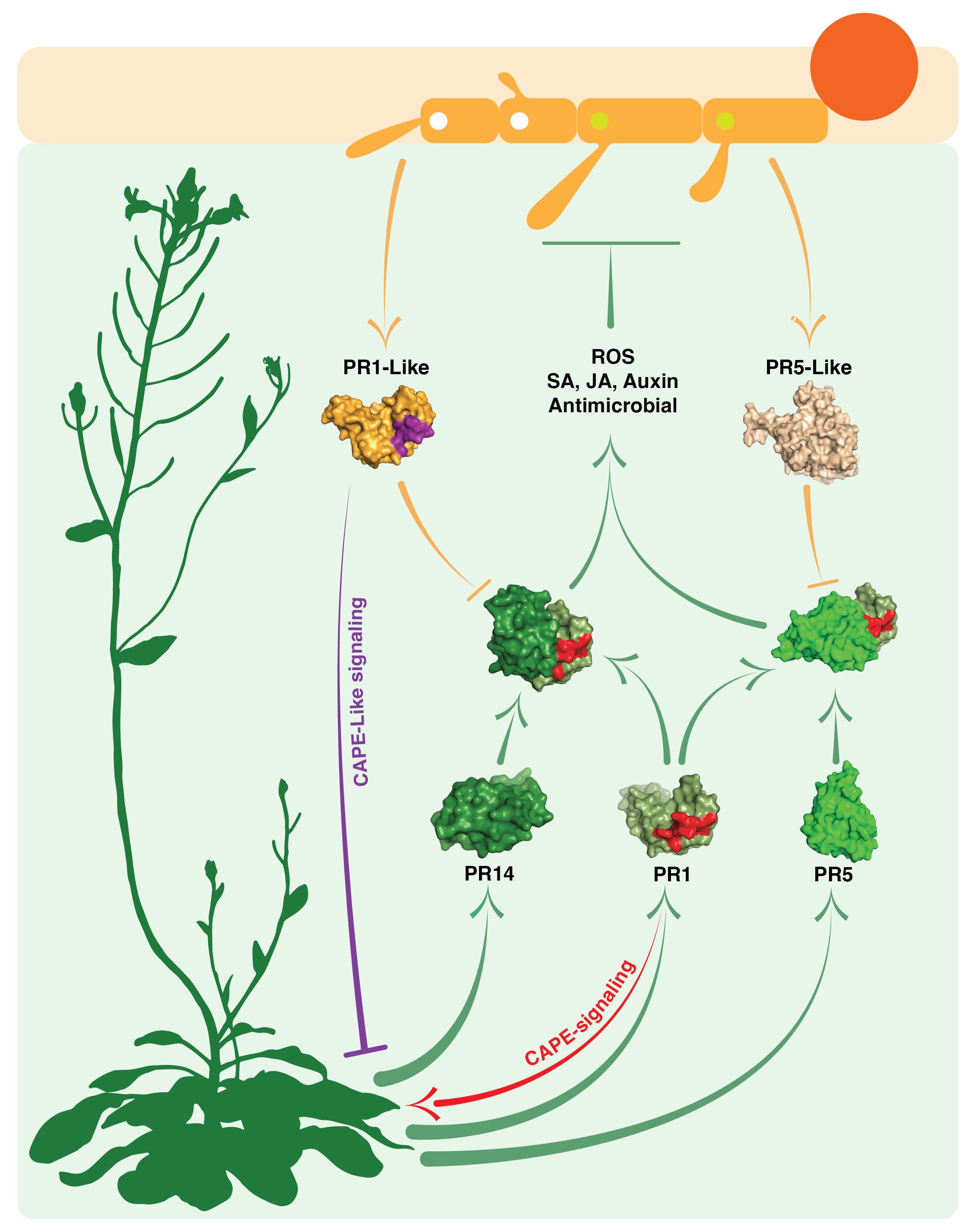 Khám Phá xs thứ năm - Bí Quyết Để Thành Công Trong Kỹ Thuật Số