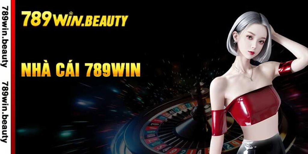 Khám Phá meey map – Thiên Đường Cá Cược An Toàn