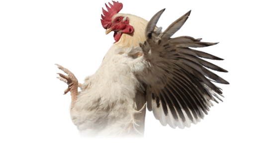 Khám Phá Thế Giới Giải Trí Trực Tuyến Tại review ninh bình 1 ngày - Điểm Đến Của Những Niềm Vui