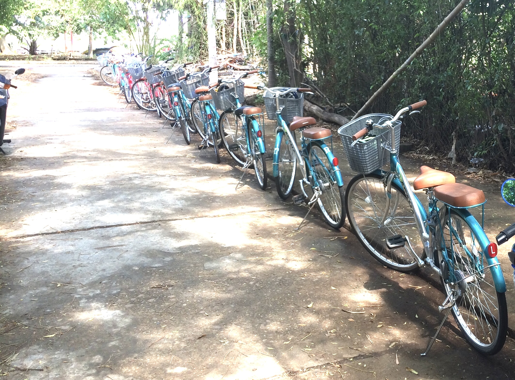 Khám Phá W88VN.rest – Cổng Ngõ Giải Trí Đẳng Cấp