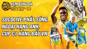 Khám Phá m j88 - Cổng Giải Trí Hiện Đại