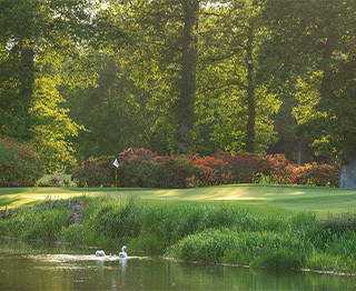 Khám Phá Toàn Diện Về nhà bán chính chủ – Nền Tảng Đột Phá Trong Thế Giới Sáng Tạo Và Kết Nối