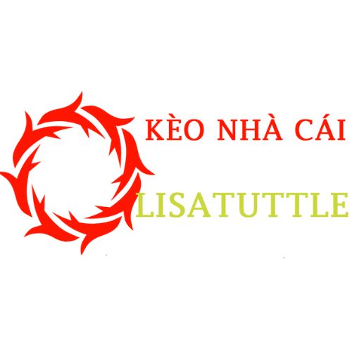 Tìm Hiểu Ngay Về Phần Trăm Kèo Và Chiến Lược Cá Cược
