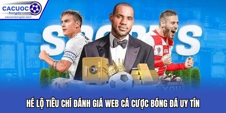 Hướng Dẫn Toàn Diện sex vanky-bongda Info – Cá Cược Bóng Đá Thông Minh