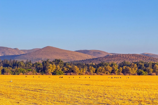 Thắng Lớn mang j88 bet Hướng Dẫn Chiến Thắng Trên Sàn Cá Cược