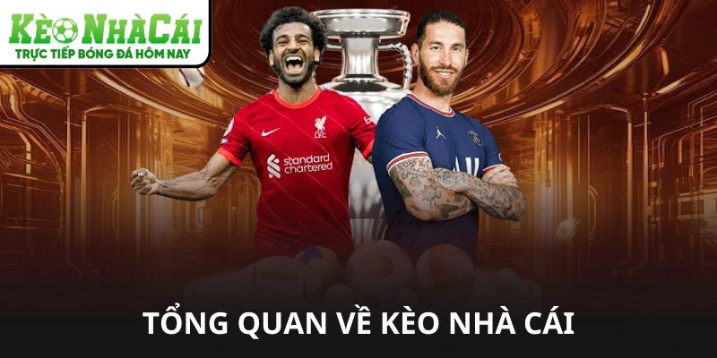 Thắng Lớn với Phần Trăm Kèo Nhà Cái Bí Kíp Soi Kèo & Quản Lý Vốn