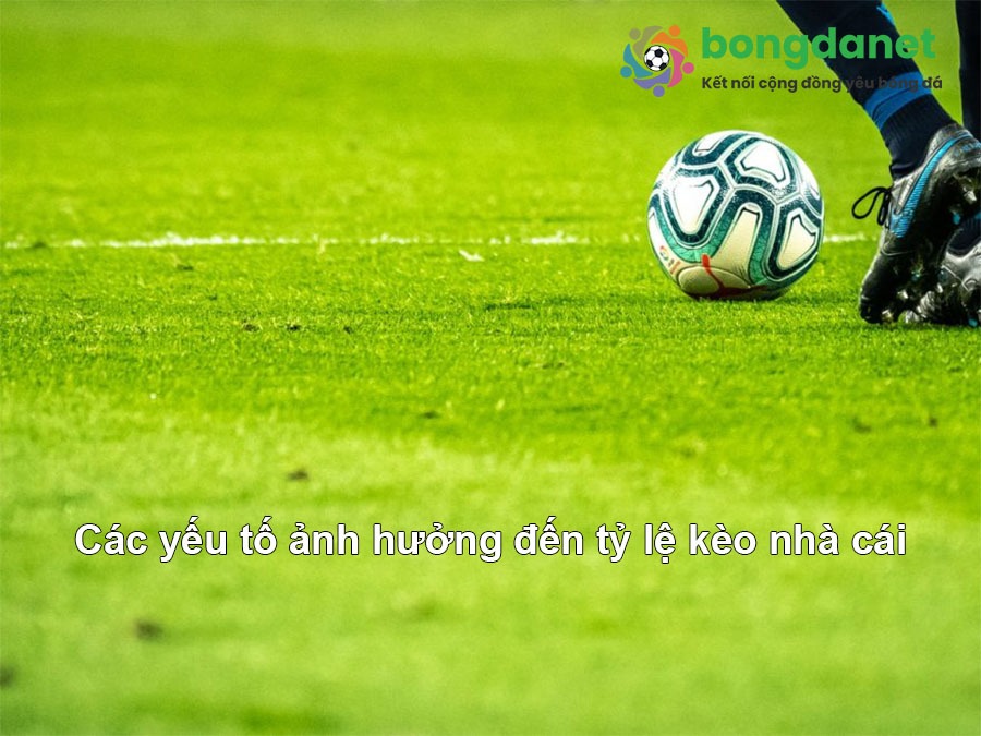 Khám phá Tỷ lệ đá bóng – Chiến lược chơi ngay bóng chiến tích