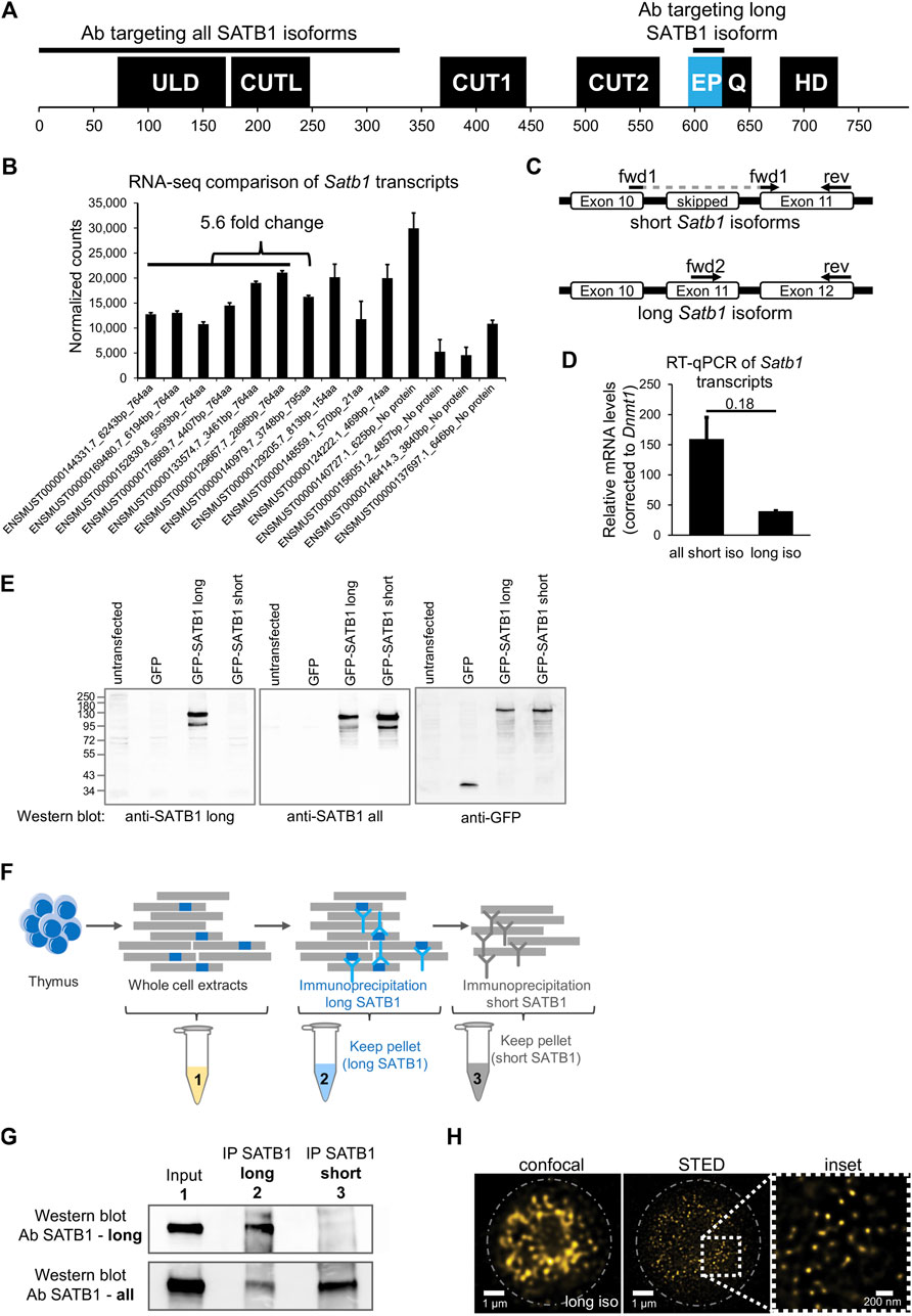 Khám Phá nhà đất dưới 2 tỷ thanh trì hà nội – Nền Tảng Giải Trí Hàng Đầu