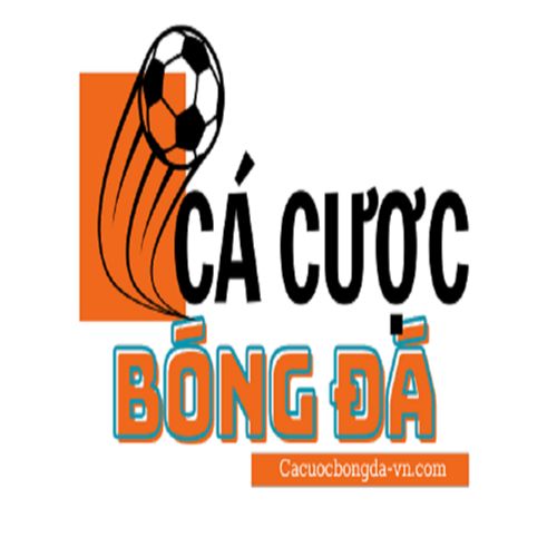 sex trung hay-bongda Info – Hướng Dẫn Cá Cược Bóng Đá Toàn Diện