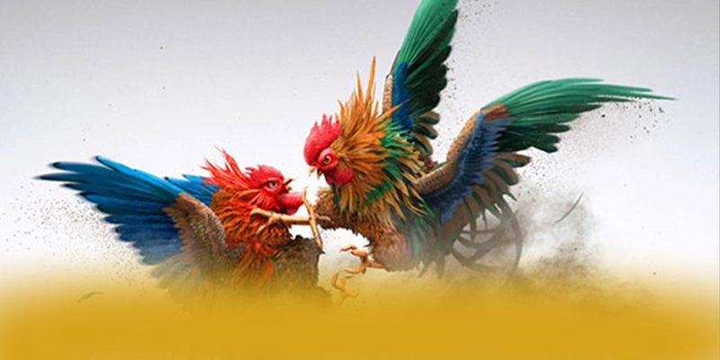 KKWIN - Sảnh game được game thủ tin tưởng được quan tâm hàng đầu